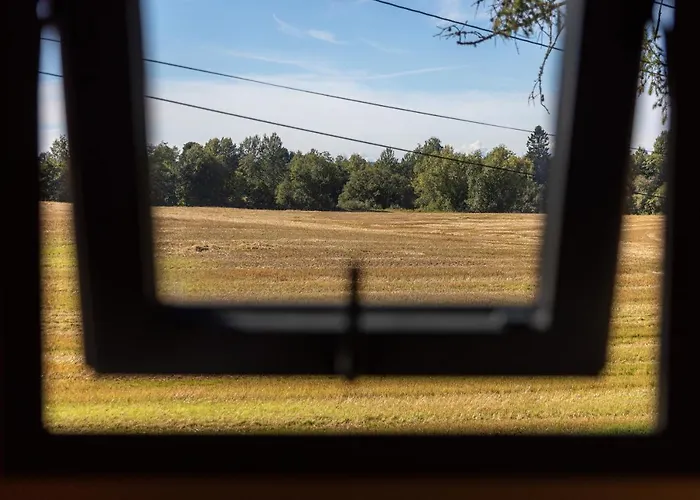 Tiny House In The Countryside